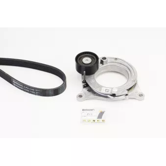 Jeu de courroies trapézoïdales à nervures CONTITECH 6PK1165K1 pour OPEL VIVARO 420 i xDrive - 184ch