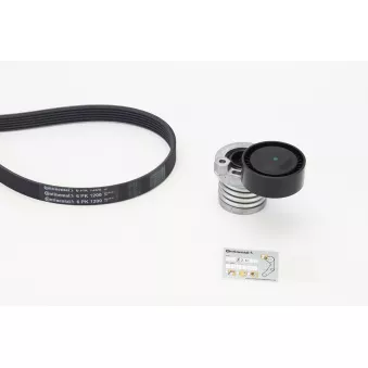 Jeu de courroies trapézoïdales à nervures CONTITECH OEM 117202495r