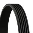 CONTITECH 6PK1208 EXTRA - Courroie trapézoïdale à nervures