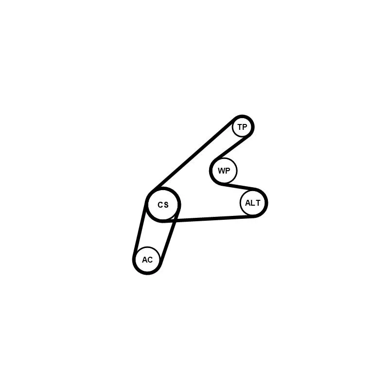 Jeu de courroies trapézoïdales à nervures CONTITECH 6PK1306K3 - Visuel 1