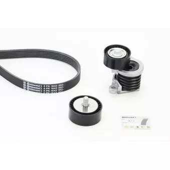 Jeu de courroies trapézoïdales à nervures CONTITECH 6PK1642K3