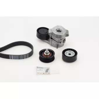 CONTITECH 6PK1642K4 - Jeu de courroies trapézoïdales à nervures