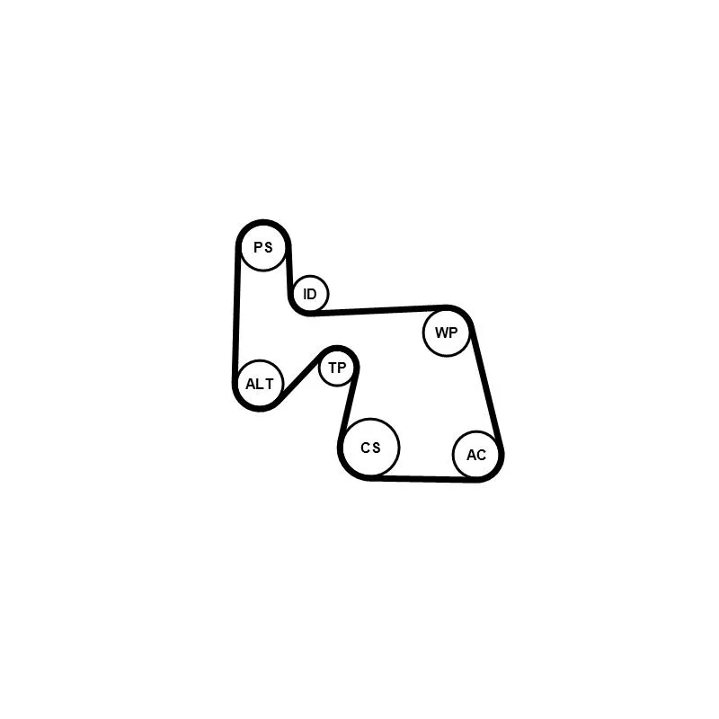 Jeu de courroies trapézoïdales à nervures CONTITECH 6PK1670K1 - Visuel 1