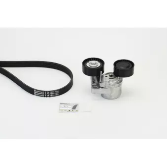 CONTITECH 6PK1698K1 - Jeu de courroies trapézoïdales à nervures