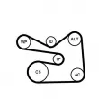 CONTITECH 6PK1733K3 - Jeu de courroies trapézoïdales à nervures