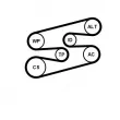 CONTITECH 6PK1780WP1 - Pompe à eau+Jeu de courroie trapézoïdale à nervures