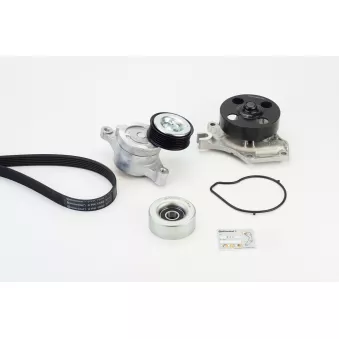 Pompe à eau+Jeu de courroie trapézoïdale à nervures CONTITECH OEM ZJ3815909C