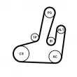Jeu de courroies trapézoïdales à nervures CONTITECH [6PK1845K1]