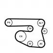 CONTITECH 6PK1870K1 - Jeu de courroies trapézoïdales à nervures