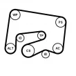 CONTITECH 6PK2000K1 - Jeu de courroies trapézoïdales à nervures