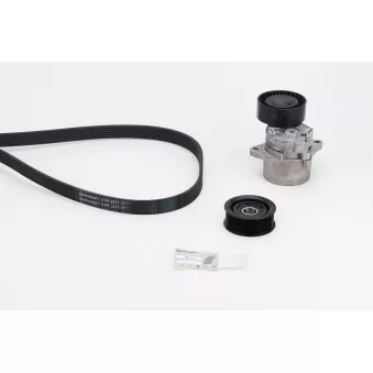 CONTITECH 6PK2271K1 - Jeu de courroies trapézoïdales à nervures