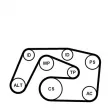 CONTITECH 6PK2271K1 - Jeu de courroies trapézoïdales à nervures