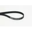 Courroie trapézoïdale à nervures CONTITECH [6PK868 ELAST]