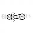 CONTITECH 6PK922 EXTRA K1 - Jeu de courroies trapézoïdales à nervures