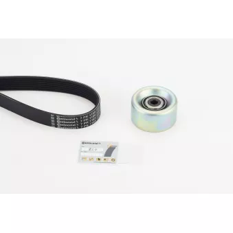 Jeu de courroies trapézoïdales à nervures CONTITECH 7PK1165K1 pour NISSAN 100 1.2 - 80cv