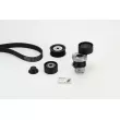 CONTITECH 7PK1605K1 - Jeu de courroies trapézoïdales à nervures