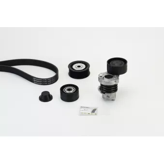 Jeu de courroies trapézoïdales à nervures CONTITECH OEM 117204083R