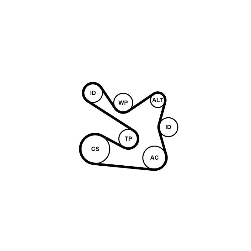 Jeu de courroies trapézoïdales à nervures CONTITECH 7PK1605K1 - Visuel 1