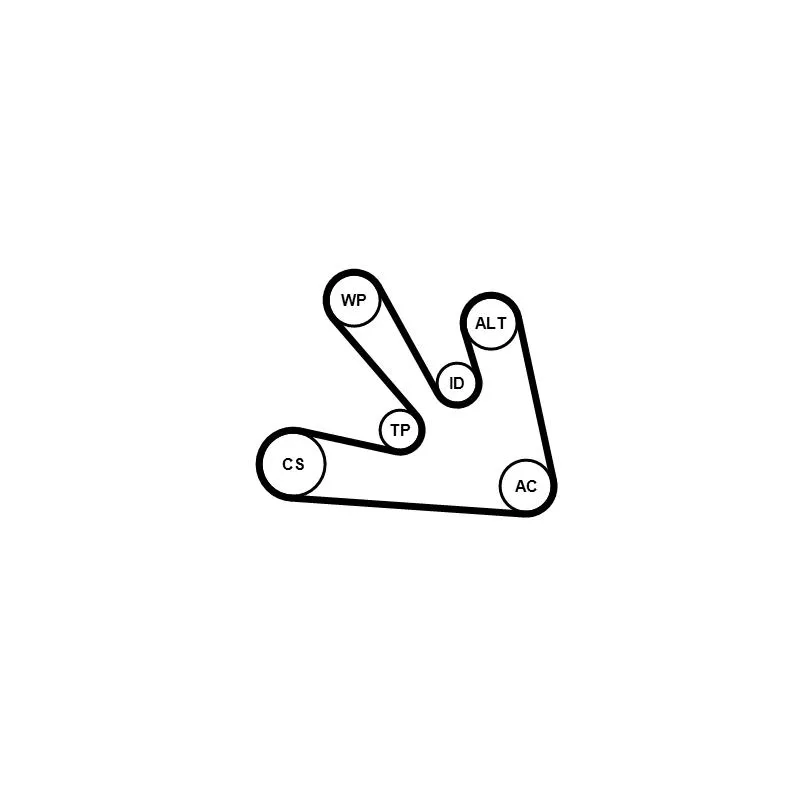 Jeu de courroies trapézoïdales à nervures CONTITECH 7PK1687K1 - Visuel 2