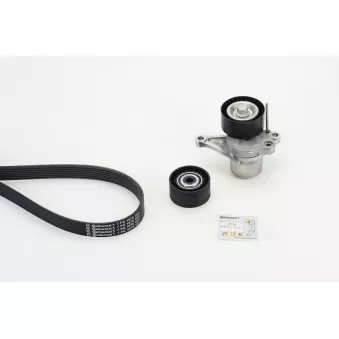 Jeu de courroies trapézoïdales à nervures CONTITECH OEM 93161808