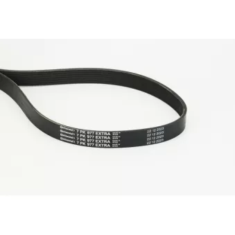 Courroie trapézoïdale à nervures CONTITECH 7PK977 EXTRA