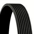 CONTITECH 8PK2342 - Courroie trapézoïdale à nervures