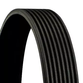 CONTITECH 8PK2415 - Courroie trapézoïdale à nervures