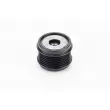 CONTITECH AP9125 - Poulie roue libre, alternateur