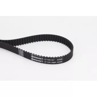 Courroie crantée CONTITECH OEM 0816F7