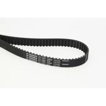 CONTITECH CT1237 - Courroie crantée