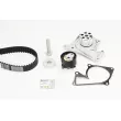 CONTITECH CT1244WP2 - Pompe à eau + kit de courroie crantée