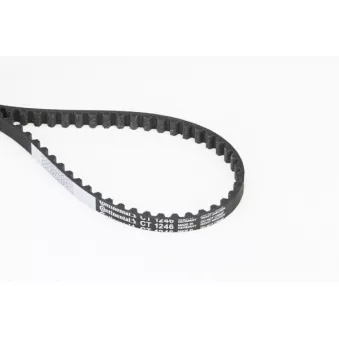 Courroie crantée CONTITECH CT1246