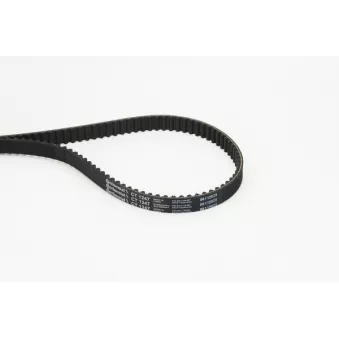 Courroie crantée CONTITECH OEM 32208173