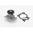 Pompe à eau, refroidissement du moteur CONTITECH [WPS3133]