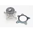 CONTITECH WPS3138 - Pompe à eau, refroidissement du moteur