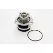 CONTITECH WPS3163 - Pompe à eau, refroidissement du moteur