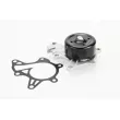 CONTITECH WPS3213 - Pompe à eau, refroidissement du moteur