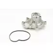 Pompe à eau, refroidissement du moteur CONTITECH [WPS3226]