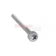 METZGER 0870128S - Vis, support pour controleur d'injecteurs