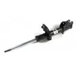 MAGNUM TECHNOLOGY AG3051MT - Amortisseur arrière gauche 