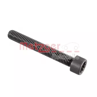 Vis, axe de culbuteur METZGER 2411066