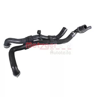Durite de radiateur METZGER 2421783