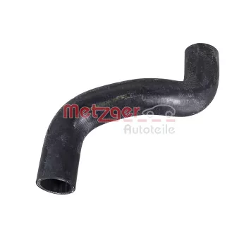 Durite de radiateur METZGER 2422045