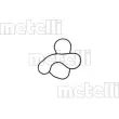 METELLI 24-1373 - Pompe à eau