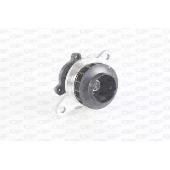 Pompe à eau, refroidissement du moteur OPEN PARTS OEM 210101687R