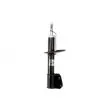 MAGNUM TECHNOLOGY AGR085MT - Jeu de 2 Amortisseurs avant