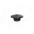AIC 52857 - Vis, bouchon de radiateur