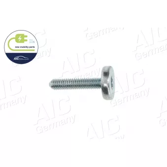 Vis AIC OEM 24110403401