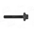 AIC 56565 - Vis