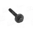 AIC 56565 - Vis